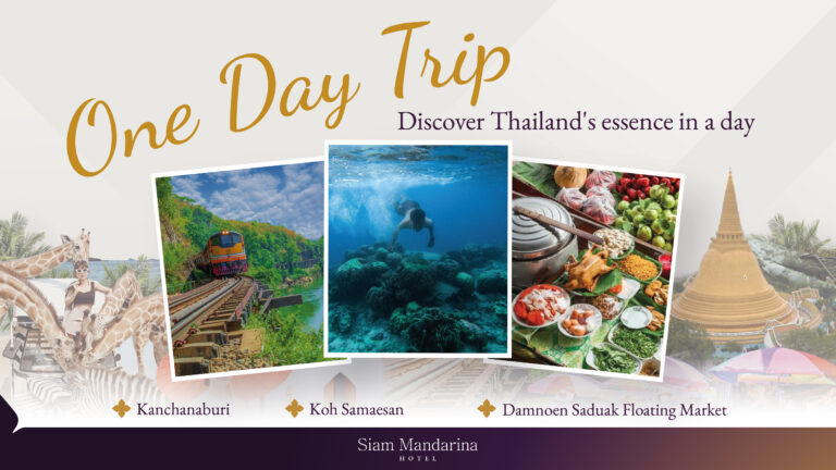 One Day Trip 2025 2512x1412-01