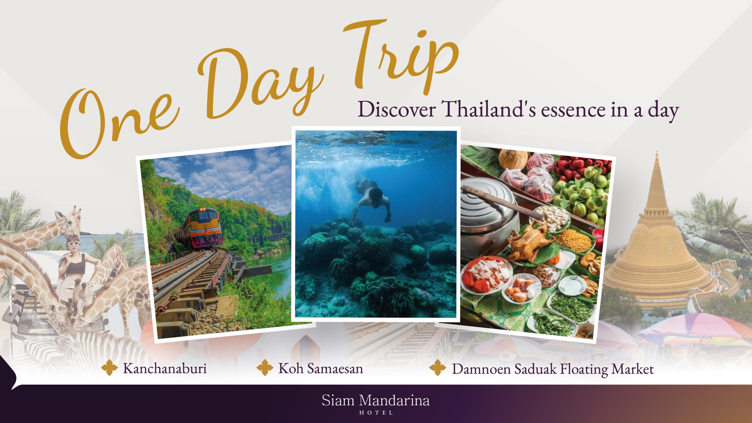 One Day Trip 2025 2512x1412-01
